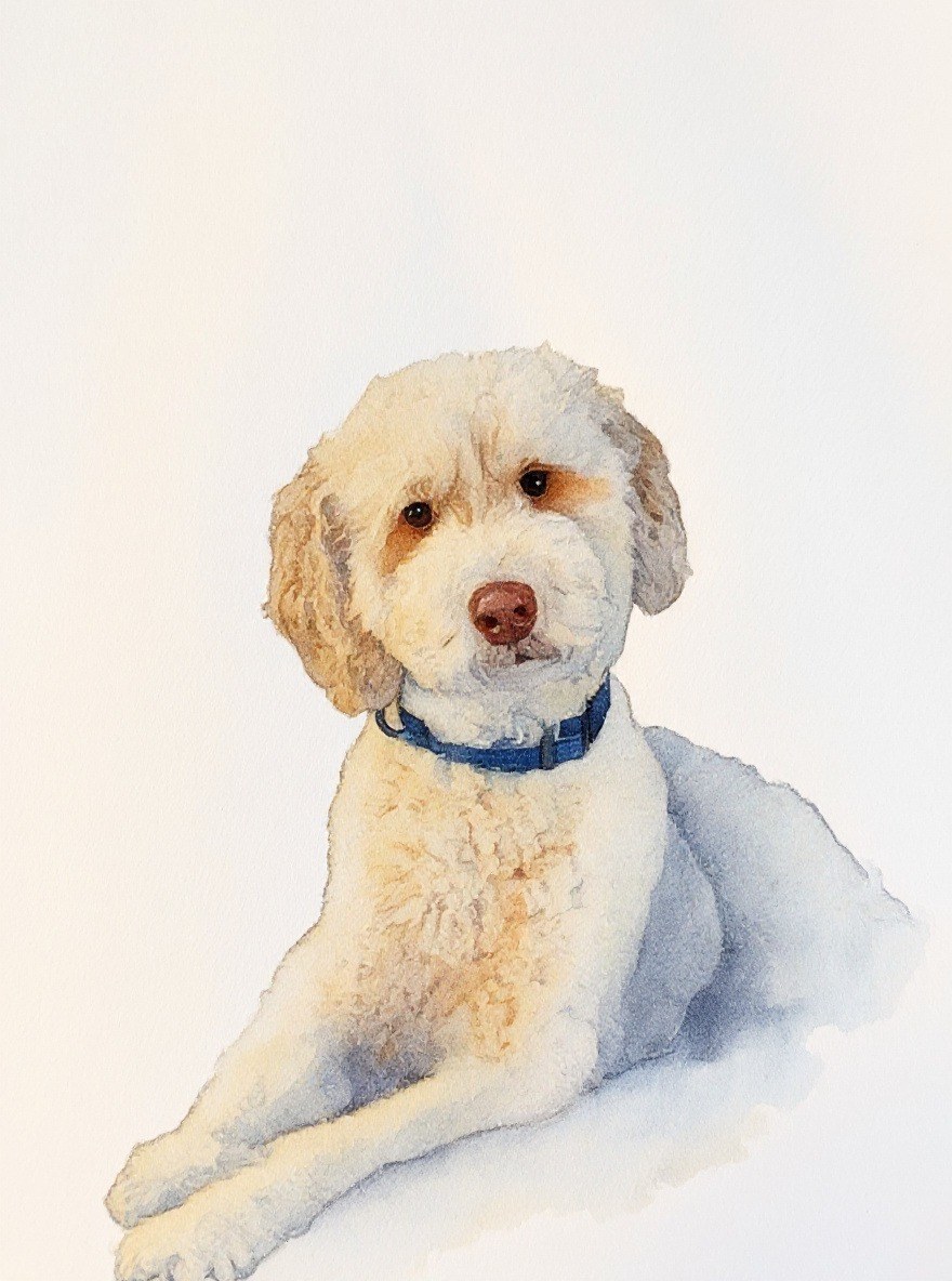 Cream doodle as a soft watercolor painting on white paper